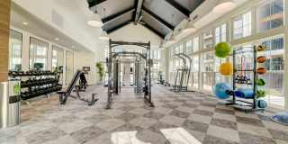 Magnolia Haus Gallery 15