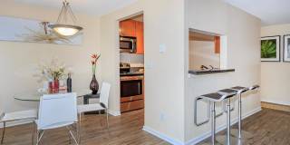 Carrington Gallery 45