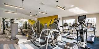 Skyline at Murrayhill Gallery 15