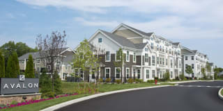 Avalon Easton Gallery 54