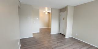 Greenback Gardens Gallery 20