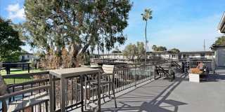 Tierra Palms Gallery 80