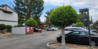 Dove Ridge Gallery 18