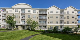 Sofi Danvers Gallery 19