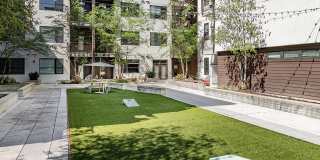 North and Line Apartments Gallery 34