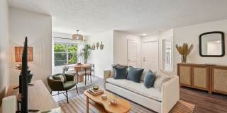 The Lucille Apartments Gallery 19