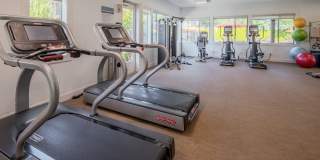 Trio Pointe Gallery 25