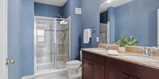 24636 WOOLLY MAMMOTH Terrace Gallery 26