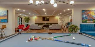 Vineyards Gallery 97