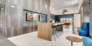 Legacy at Fitz Gallery 58