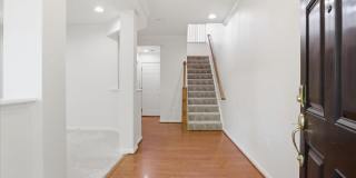 4951 CHASTE TREE Place Gallery 6