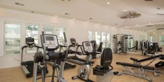 Waterleaf at Murrells Inlet Gallery 4