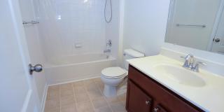 7810 QUIDDITCH Lane Gallery 28