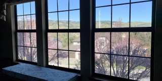 7183 Brooktree Court Gallery 16