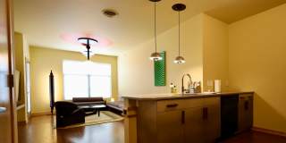 Settlement Place Gallery 237