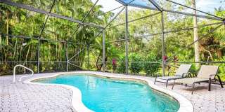 1376 Areca Cv Gallery 1