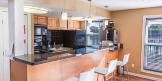 TGM Autumn Woods Gallery 28