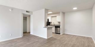 Paseo 51 Gallery 25