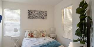 Monaco 31 Gallery 21