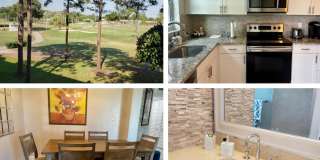 3755 Via Poinciana Gallery 1