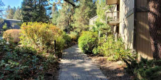 Mt. Bachelor Village Condo #207 Gallery 5