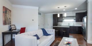 Vanguard Heights Gallery 28