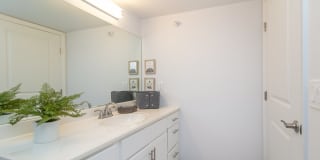 Ivy Hills Place Gallery 29