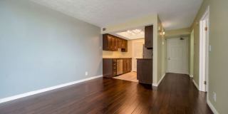 115 South 1100 East Gallery 6