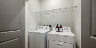 Arcadia 331 Gallery 36