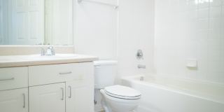 Northlake Park Gallery 4