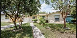 319 Mink Gallery 1
