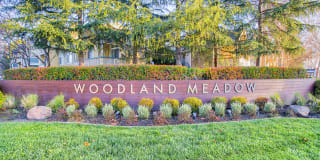 Woodland Meadow Gallery 39