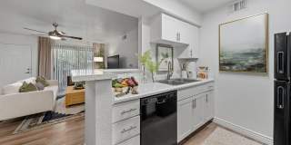 Mica Apartments Gallery 35