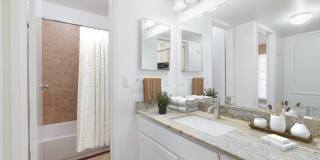 Prestonwood Gallery 4