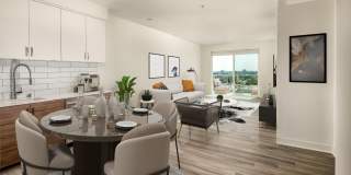 Ovelo Hollywood Gallery 2