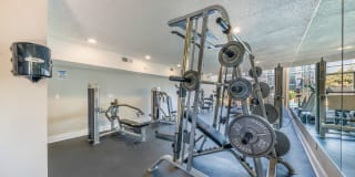 Alister Apartments Gallery 13