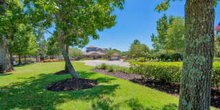 Lake Forest Gallery 20