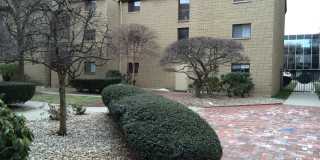 The Mews Condo Gallery 10