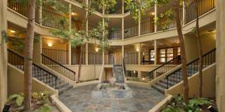 Atrium Downtown Gallery 6