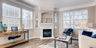 Lowry Park Gallery 5