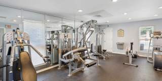 Piccadilly Gallery 23