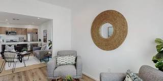 6344 Camellia Gallery 6