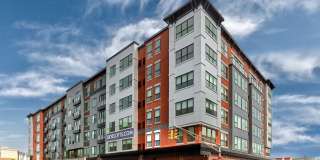 260 AVENUE E Gallery 1