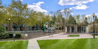 Jefferson Chase Gallery 14