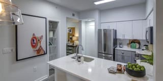 Solmar on Sixth Solmar on Sixth Gallery 9