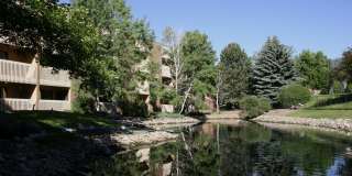 Eagle Ridge Gallery 22