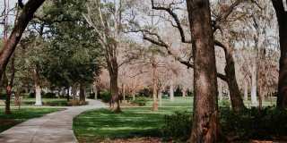 Rockwood Springs Gallery 3