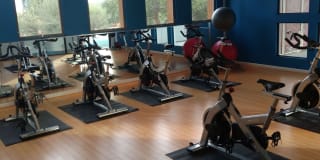 Shade at Desert Ridge Gallery 24