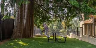 Sandy Place Apartment Homes Gallery 3