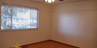 Bright 3 bed 2 bath 1,356 sq. ft. Single Family Home In Woodland Gallery 12